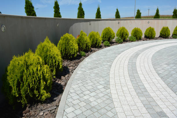 Trusted Wadena, MN Driveway Pavers Experts